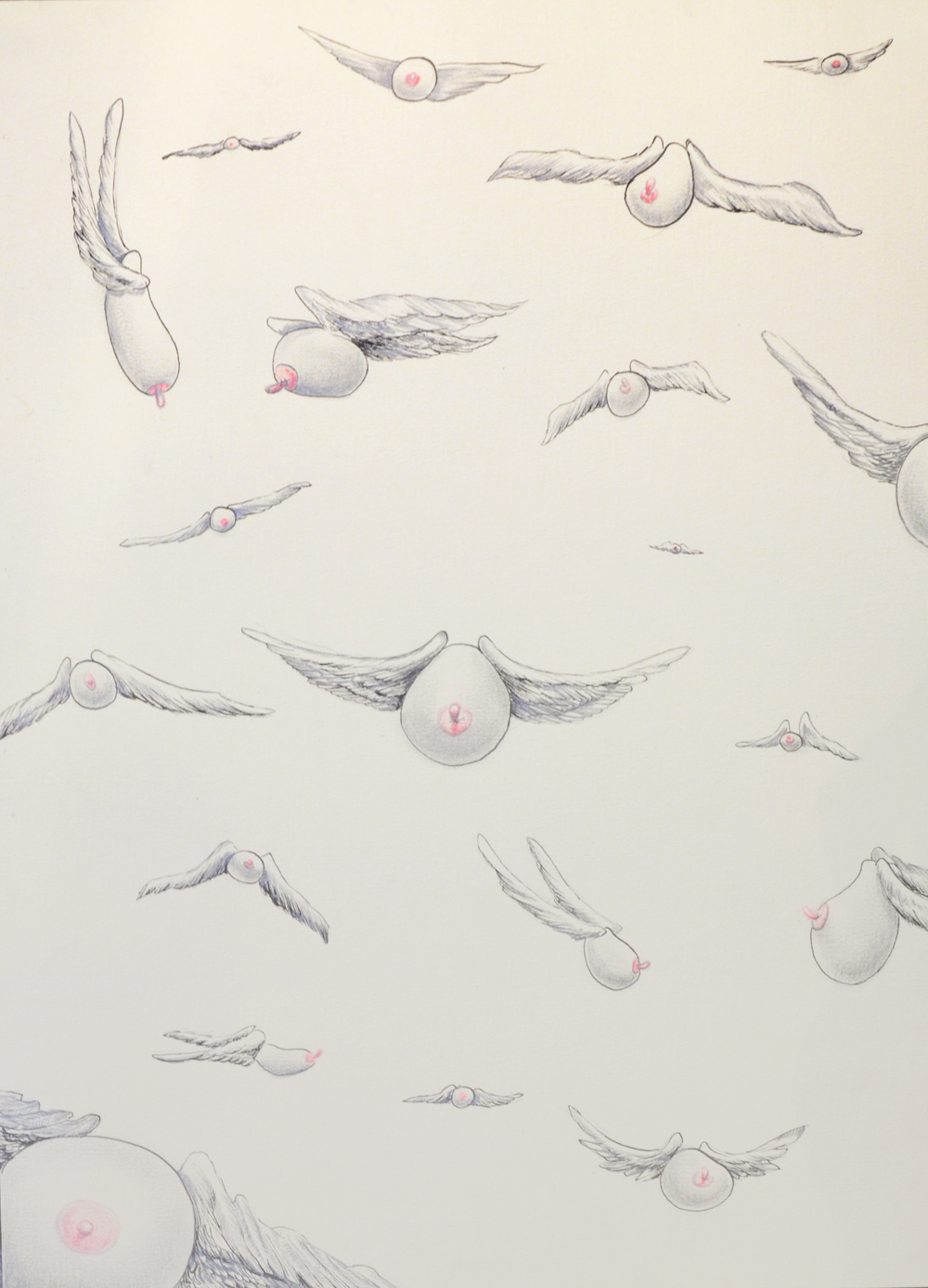  The Origin on the Airborne Division